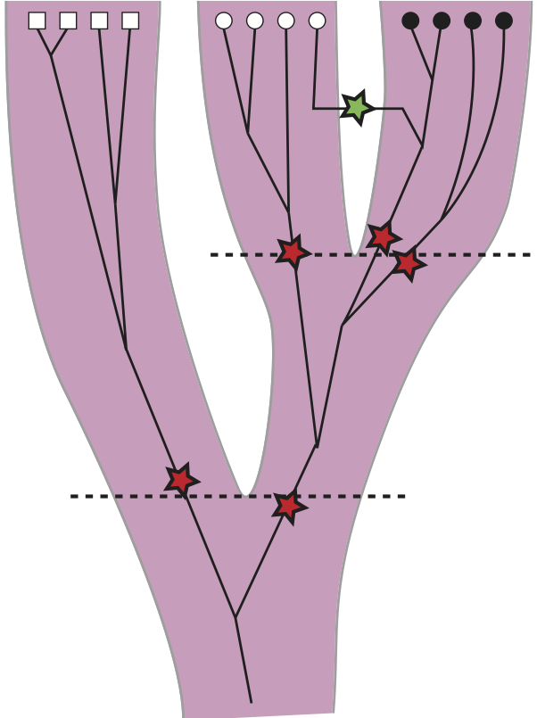 splitting examples