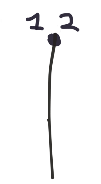 File:X.png