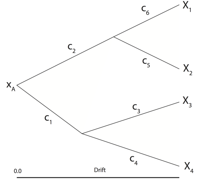 File:Tree1.png