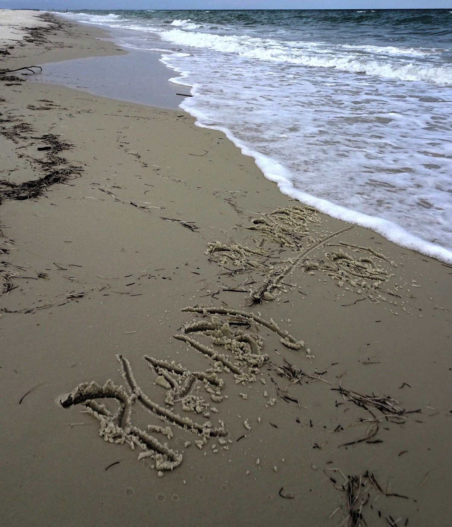 Beachside view used as the lab introduction image.